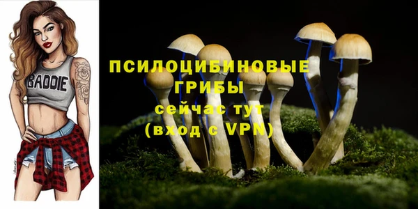 спайс Белокуриха